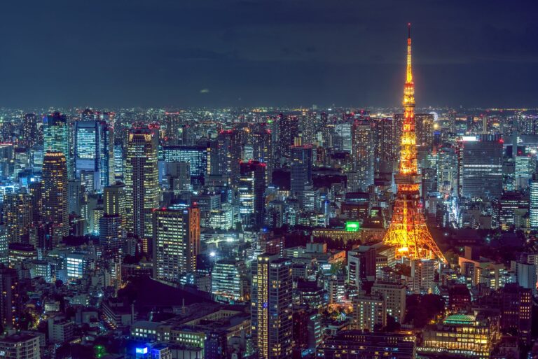 Tokyo Aerial View