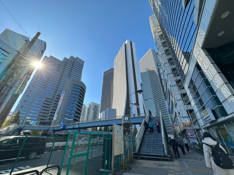 Shinjuku's Skyscrapers